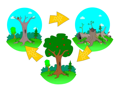 Eco bricks apply ayyew principles